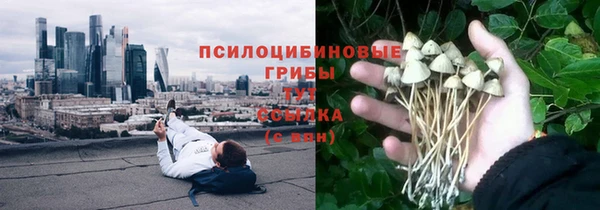 spice Абдулино